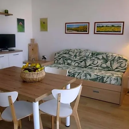 Διαμέρισμα Modern Flat At Pineta With Terrace
