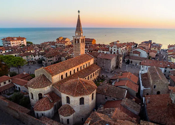 Modern Flat At Pineta With Terrace *